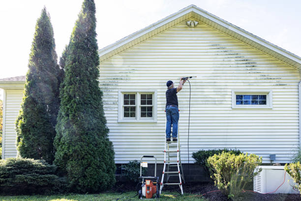 Best Gutter Cleaning  in Dolgeville, NY